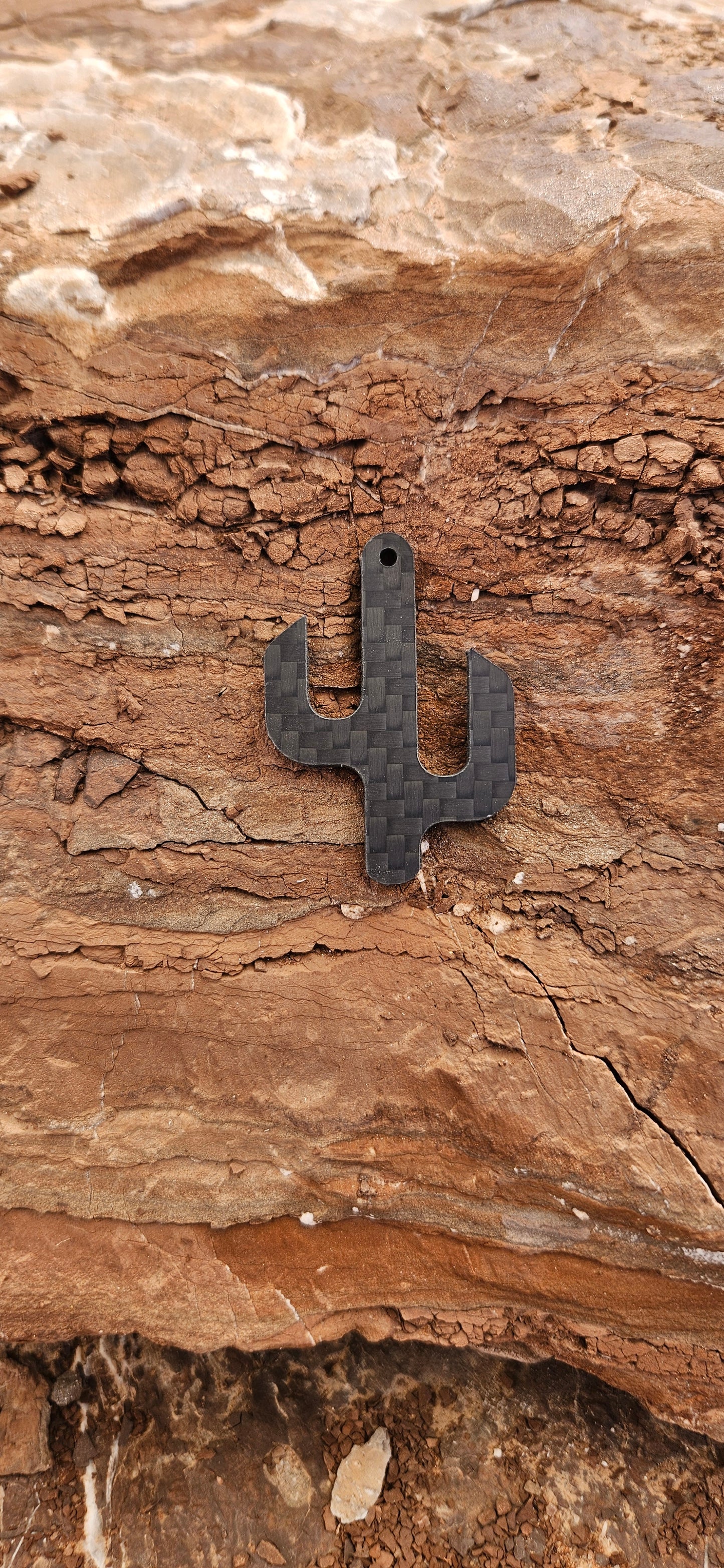 Cactus Winch Hook