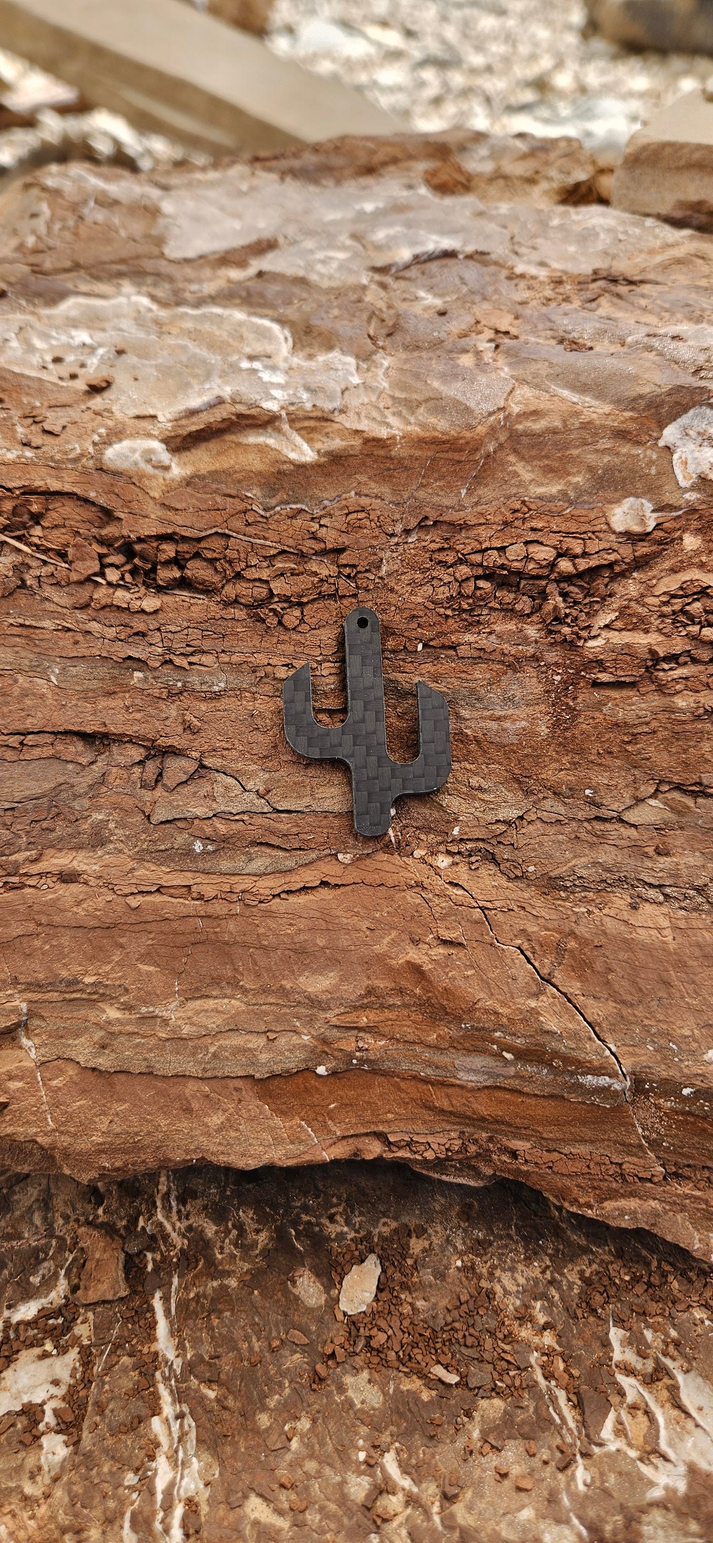 Cactus Winch Hook